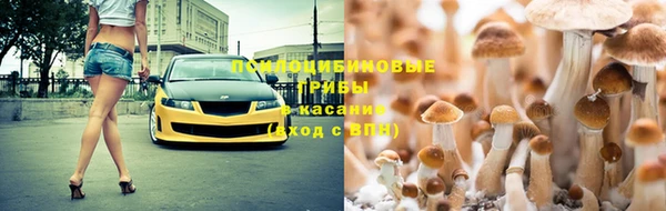 ГАЛЛЮЦИНОГЕННЫЕ ГРИБЫ Алексеевка
