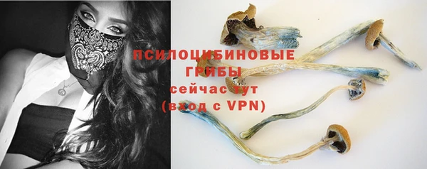 соль ск Алексин