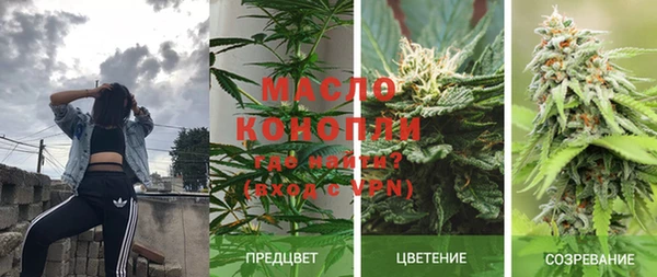 сатива Аркадак