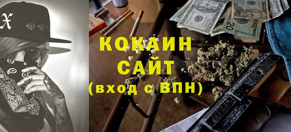сатива Аркадак
