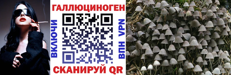 Псилоцибиновые грибы GOLDEN TEACHER  купить  цена  Сочи 
